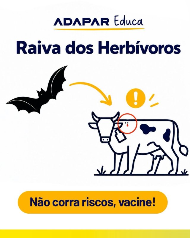 Raiva dos Herbívoros, prevenção é essencial
